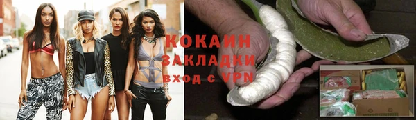 гидропоника Гусиноозёрск