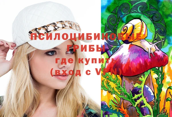 гидропоника Гусиноозёрск