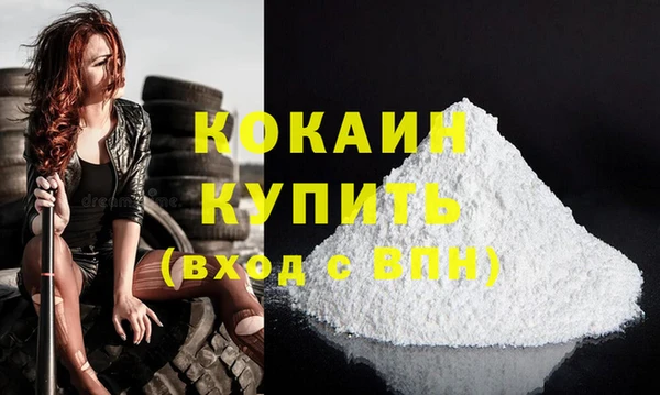 спайс Гусев