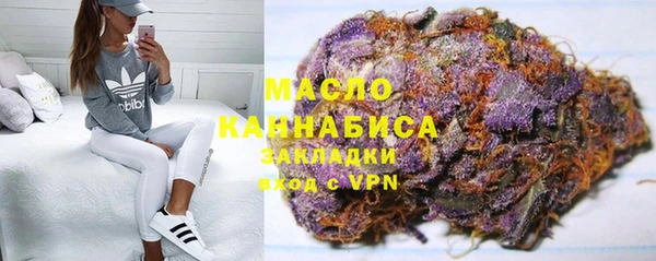 гидропоника Гусиноозёрск