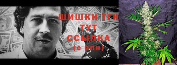 спиды Гусь-Хрустальный