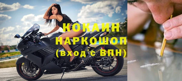 спайс Гусев
