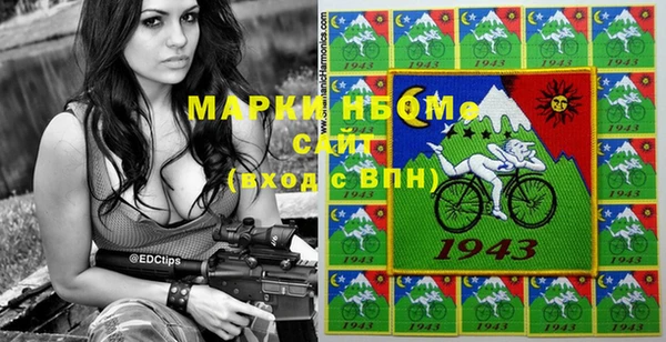гидропоника Гусиноозёрск