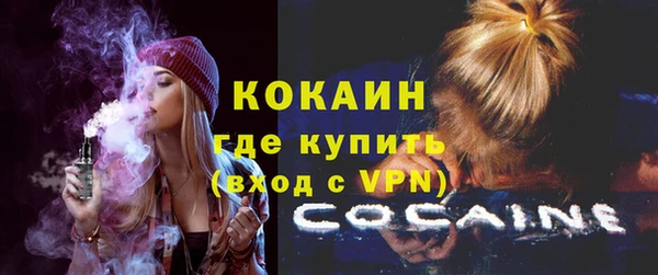 стаф Дмитровск