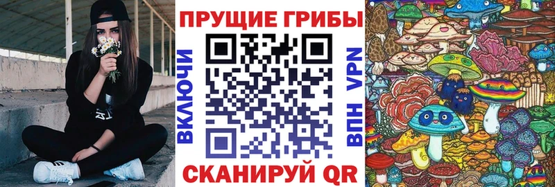 Купить закладки  Игарка  Галлюциногенные грибы мицелий 